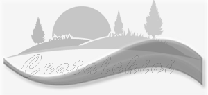 Logo Ceatalchioi