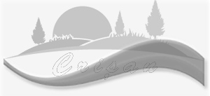 Logo Crisan